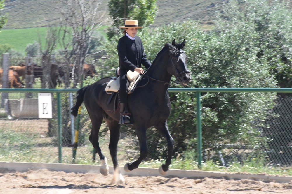 Once binomios alzaron el telón de la Doma Vaquera.